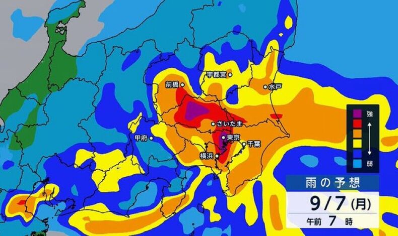 画像3916