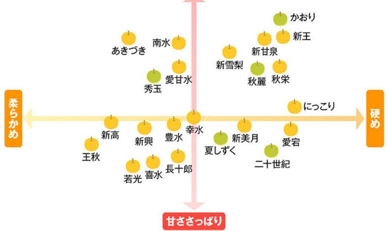 画像3932
