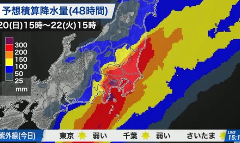 画像3945